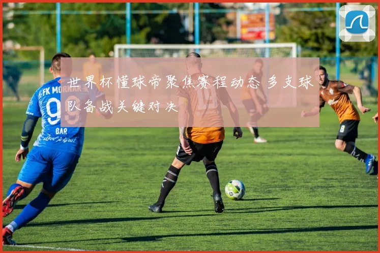 世界杯懂球帝聚焦赛程动态 多支球队备战关键对决