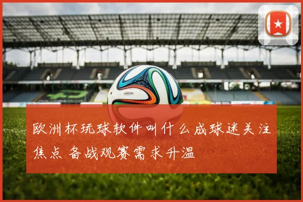 欧洲杯玩球软件叫什么成球迷关注焦点 备战观赛需求升温