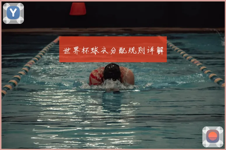 世界杯球衣分配规则详解