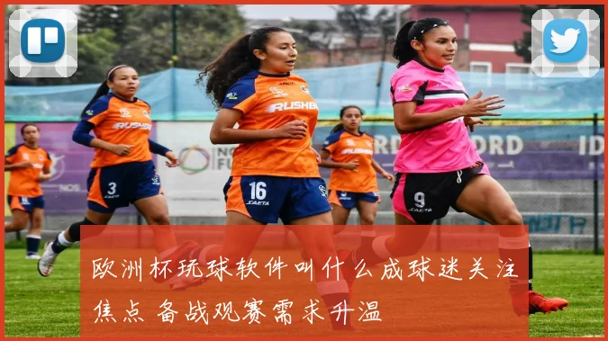欧洲杯玩球软件叫什么成球迷关注焦点 备战观赛需求升温