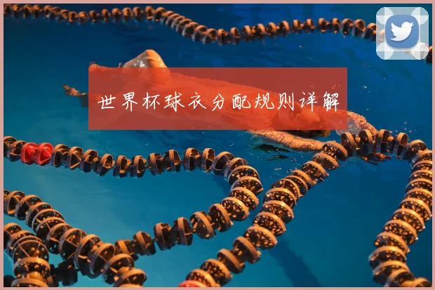 世界杯球衣分配规则详解